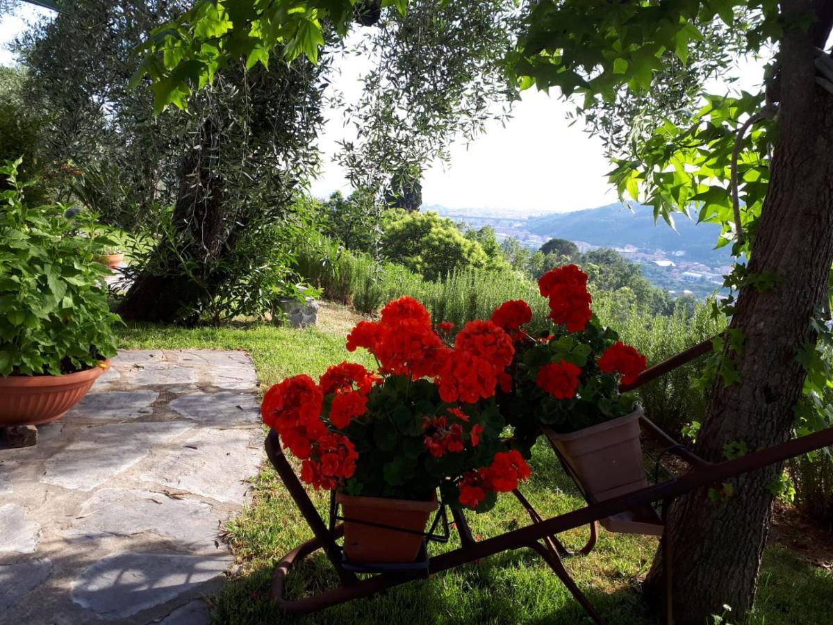 La Gatta Sul Sentiero Bed & Breakfast San Salvatore  Eksteriør bilde
