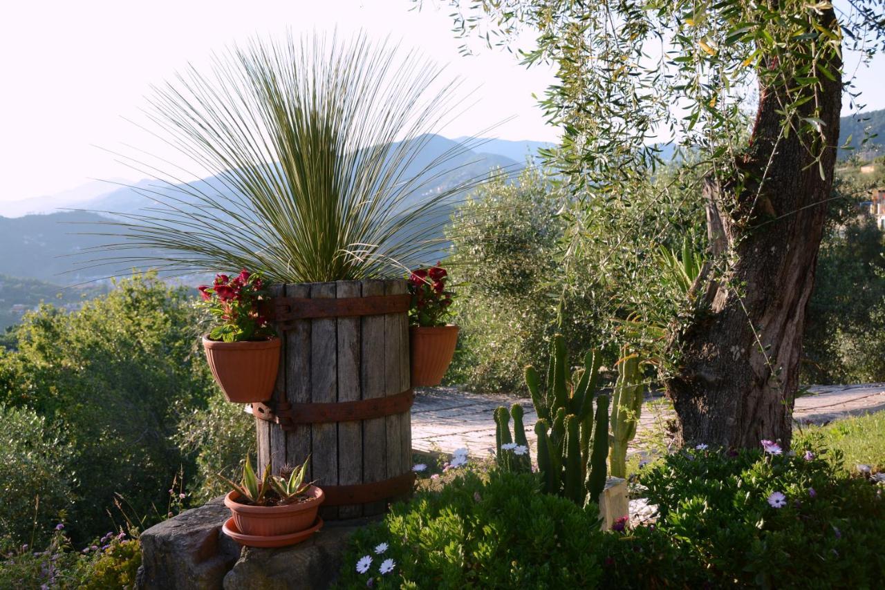 La Gatta Sul Sentiero Bed & Breakfast San Salvatore  Eksteriør bilde